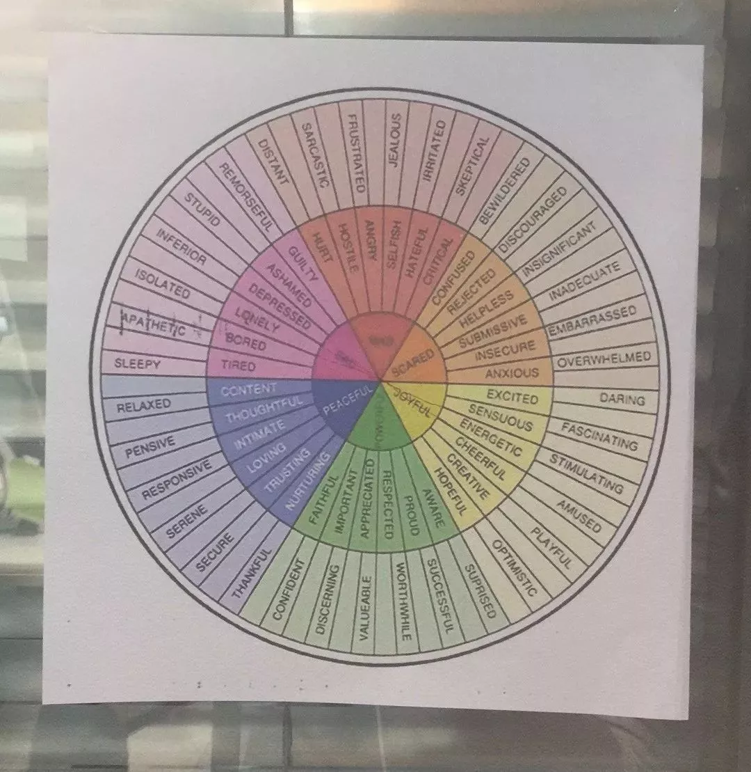 舒释心理】走进心理学工具-感觉轮盘- 舒释心理